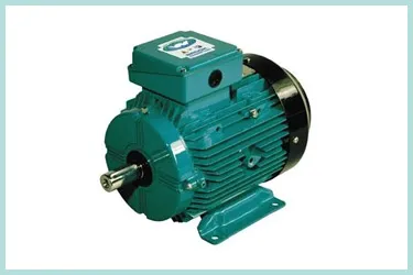 Crompton Industrial Motors