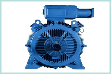  AC Induction Motors